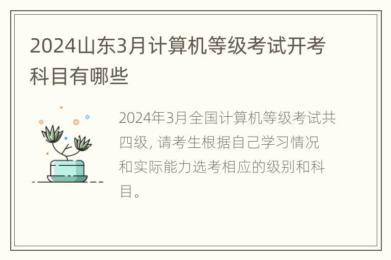 2024山东3月计算机等级考试开考科目有哪些