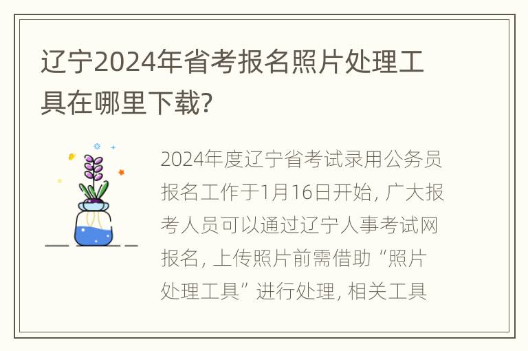 辽宁2024年省考报名照片处理工具在哪里下载？