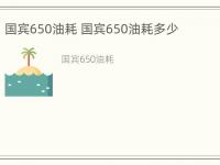 国宾650油耗 国宾650油耗多少