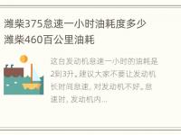 潍柴375怠速一小时油耗度多少 潍柴460百公里油耗