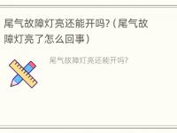 尾气故障灯亮还能开吗?（尾气故障灯亮了怎么回事）