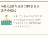 涡轮还是自吸省油（自吸省油还是涡轮省油）