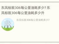 东风标致306每公里油耗多少? 东风标致306每公里油耗多少升