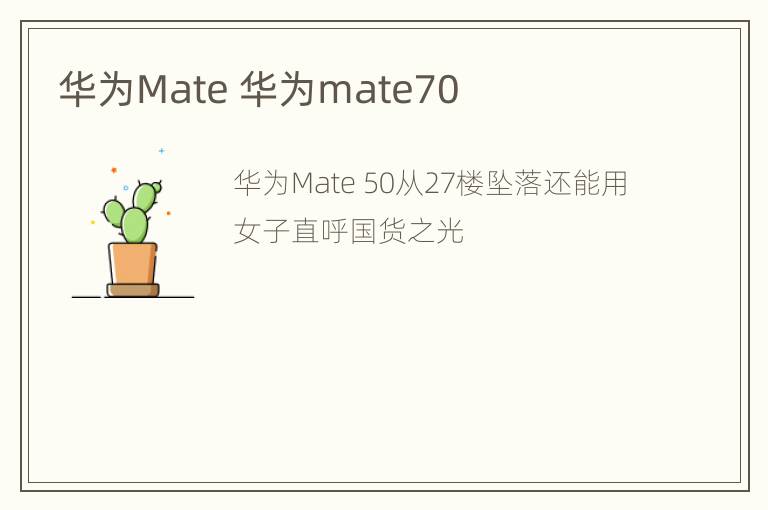 华为Mate 华为mate70