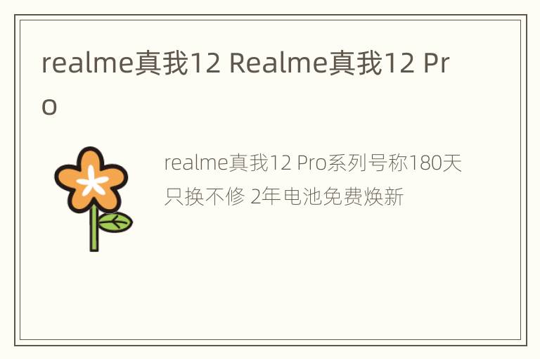 realme真我12 Realme真我12 Pro