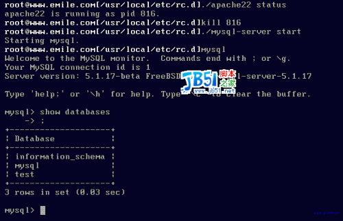 FreeBSD6.2上搭建apache2.2.4+mysql5.1.7+php5.2.1+phpmyadmin