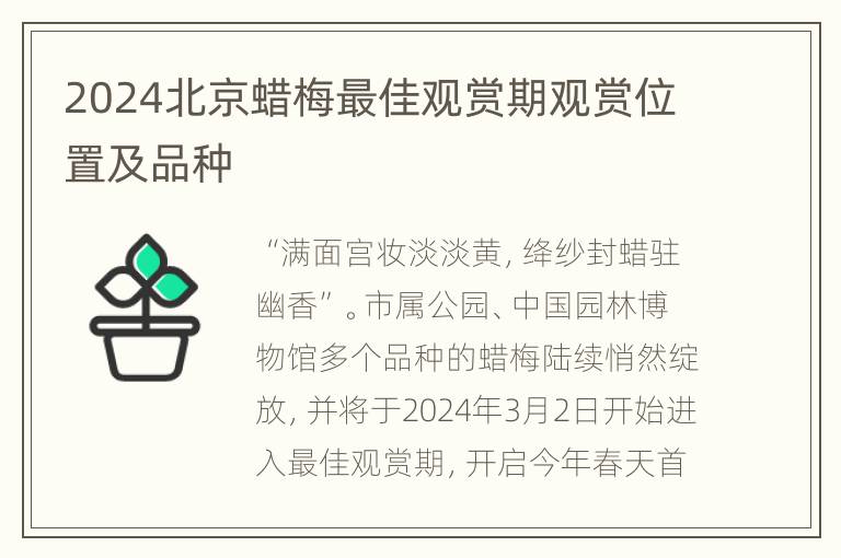 2024北京蜡梅最佳观赏期观赏位置及品种