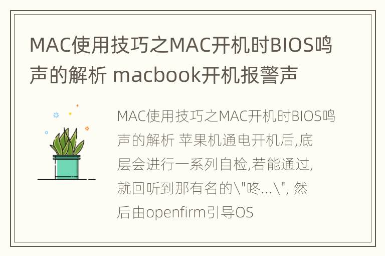 MAC使用技巧之MAC开机时BIOS鸣声的解析 macbook开机报警声