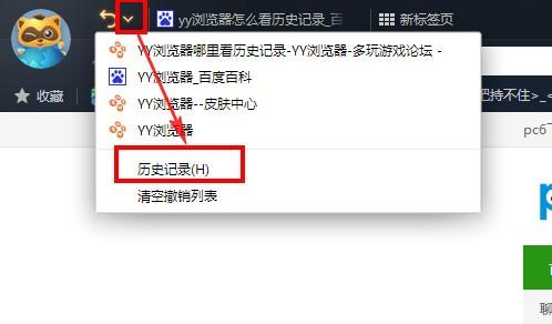 yy浏览器如何查看历史记录?（YY怎么查看历史公屏记录）