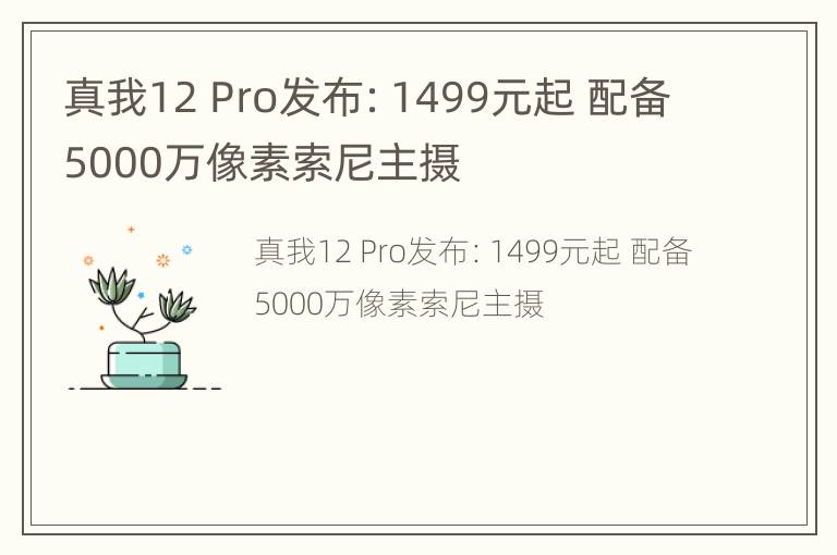 真我12 Pro发布：1499元起 配备5000万像素索尼主摄