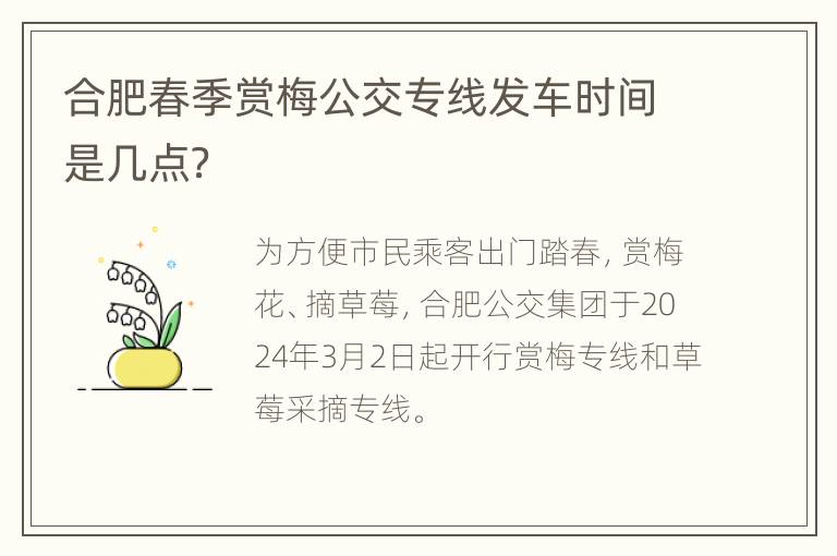 合肥春季赏梅公交专线发车时间是几点？