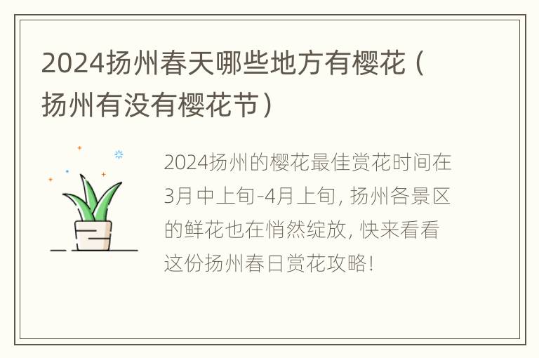 2024扬州春天哪些地方有樱花（扬州有没有樱花节）