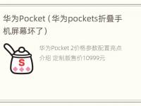 华为Pocket（华为pockets折叠手机屏幕坏了）