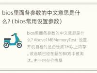 bios里面各参数的中文意思是什么?（bios常用设置参数）