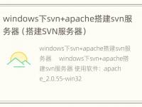 windows下svn+apache搭建svn服务器（搭建SVN服务器）