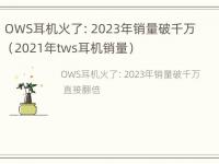 OWS耳机火了：2023年销量破千万（2021年tws耳机销量）