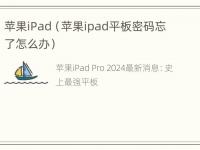 苹果iPad（苹果ipad平板密码忘了怎么办）