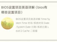 BIOS设置项目英语详解（bios有哪些设置项目）