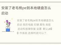 安装了老毛桃pe到本地硬盘怎么启动