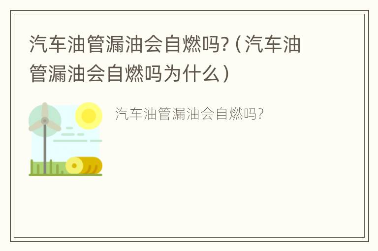 汽车油管漏油会自燃吗?（汽车油管漏油会自燃吗为什么）