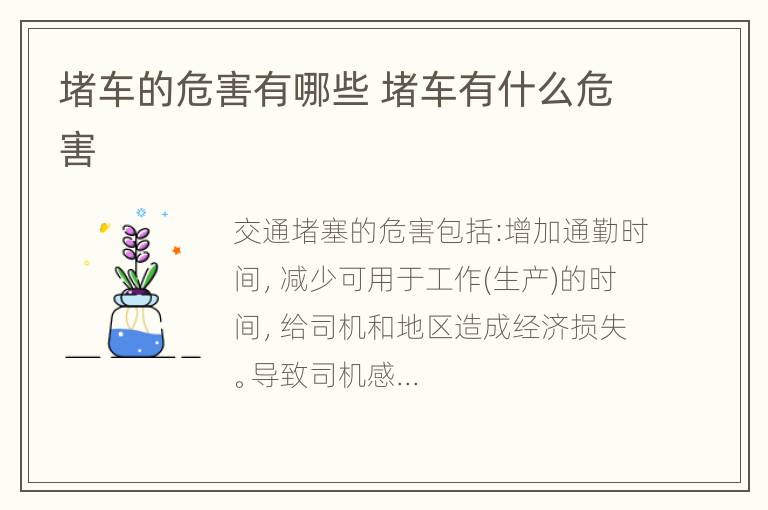 堵车的危害有哪些 堵车有什么危害