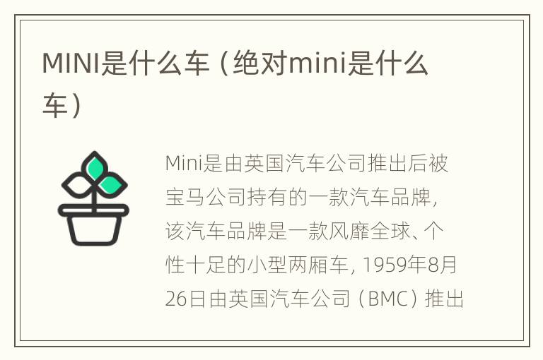 MINI是什么车（绝对mini是什么车）