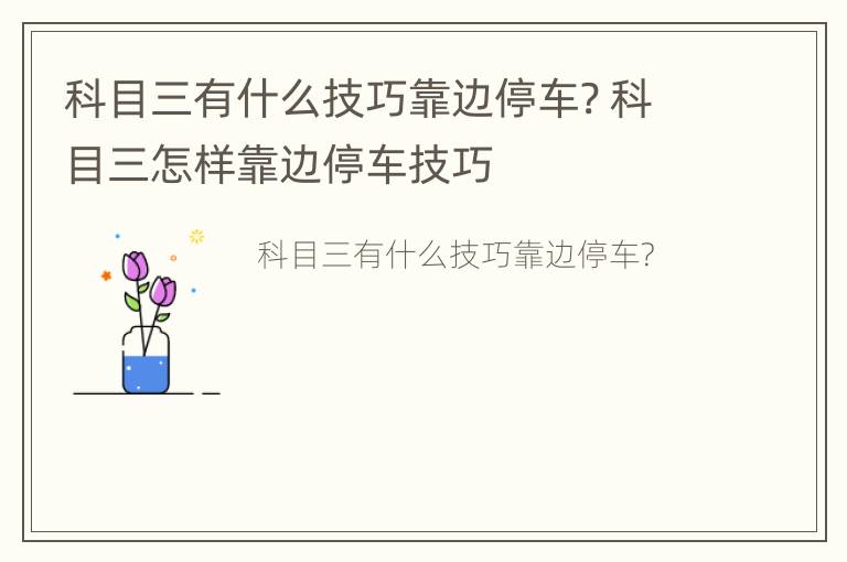 科目三有什么技巧靠边停车? 科目三怎样靠边停车技巧