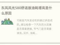 东风风光580舒适版油耗增高是什么原因