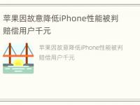 苹果因故意降低iPhone性能被判赔偿用户千元