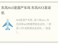 东风Ax3是国产车吗 东风AX3发动机