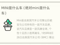 MINI是什么车（绝对mini是什么车）