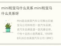 mini和宝马什么关系 mini和宝马什么关系呀