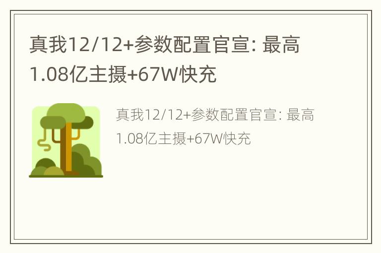 真我12/12+参数配置官宣：最高1.08亿主摄+67W快充