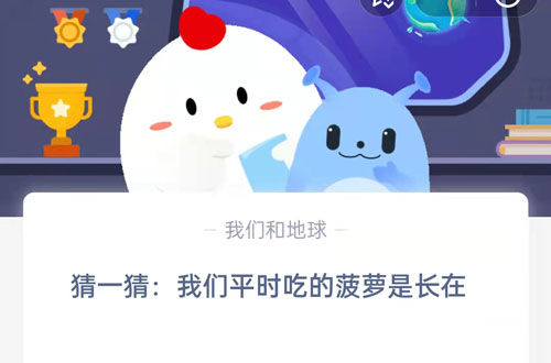 猜一猜我们平时吃的菠萝是长在 我们平时吃的萝卜是它的根对吗