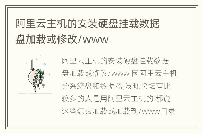 阿里云主机的安装硬盘挂载数据盘加载或修改/www