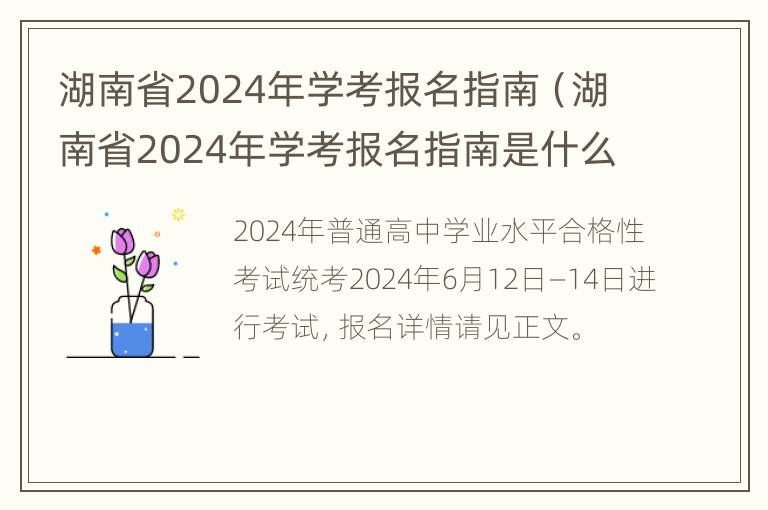 湖南省2024年学考报名指南（湖南省2024年学考报名指南是什么）