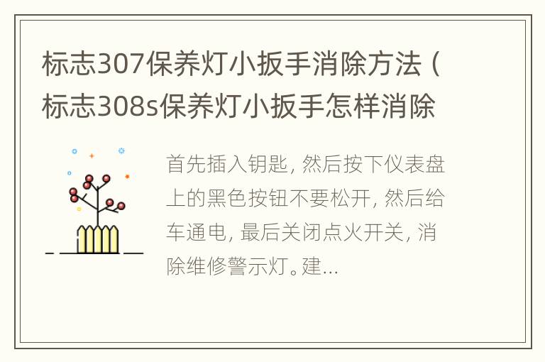 标志307保养灯小扳手消除方法（标志308s保养灯小扳手怎样消除）