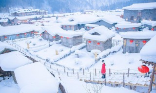 冬季适合去哪里旅行（冬季适合去哪里旅游）