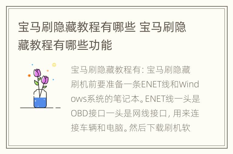 宝马刷隐藏教程有哪些 宝马刷隐藏教程有哪些功能