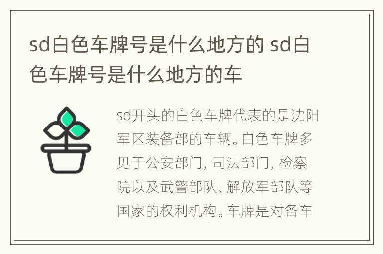 sd白色车牌号是什么地方的 sd白色车牌号是什么地方的车