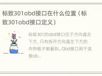 标致301obd接口在什么位置（标致301obd接口定义）