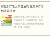 标致307怎么改善油耗 标致307如何改善油耗