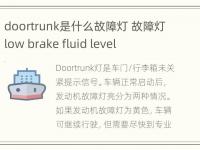 doortrunk是什么故障灯 故障灯low brake fluid level