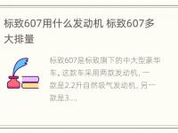 标致607用什么发动机 标致607多大排量