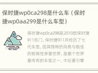 保时捷wp0ca298是什么车（保时捷wp0aa299是什么车型）