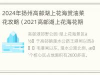 2024年扬州高邮湖上花海赏油菜花攻略（2021高邮湖上花海花期）