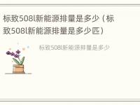 标致508l新能源排量是多少（标致508l新能源排量是多少匹）