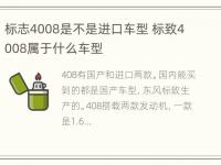 标志4008是不是进口车型 标致4008属于什么车型