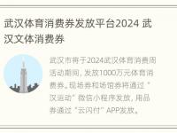 武汉体育消费券发放平台2024 武汉文体消费券