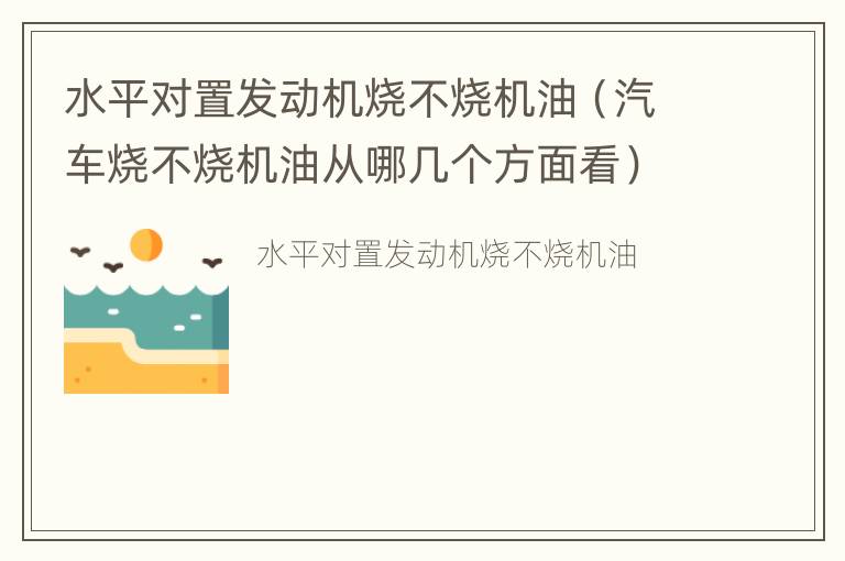 水平对置发动机烧不烧机油（汽车烧不烧机油从哪几个方面看）